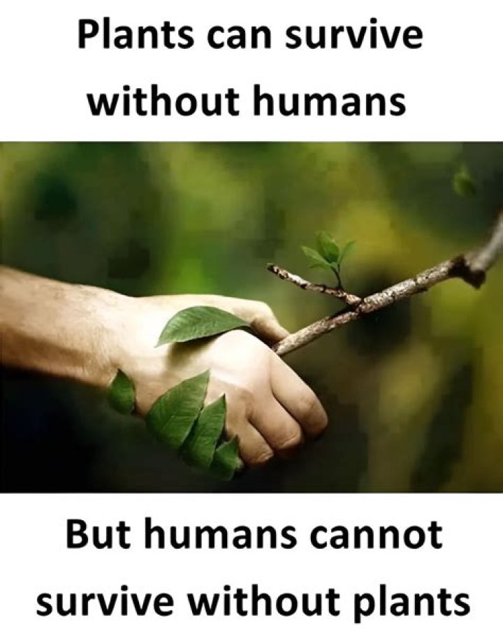 Can humans survive without nature?