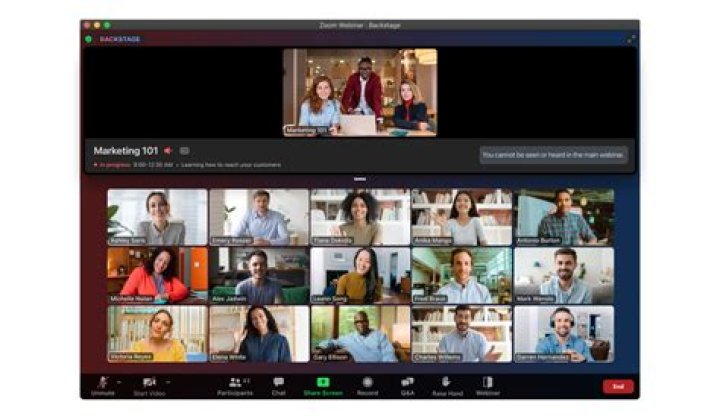 Can panelists see questions in Zoom webinar?