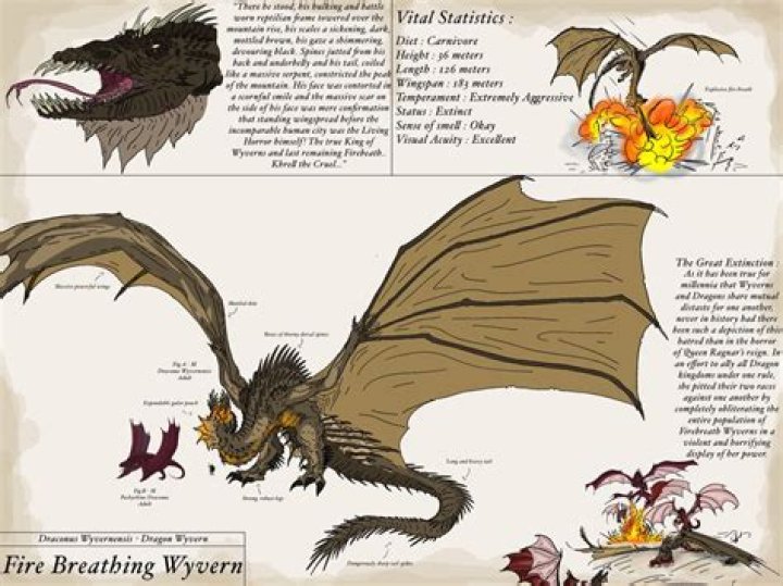 Can Wyverns breathe fire?