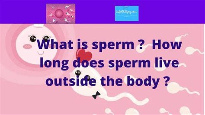 How big is a sperm?