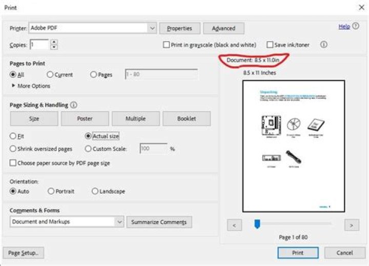 How do I change print size on iPhone?