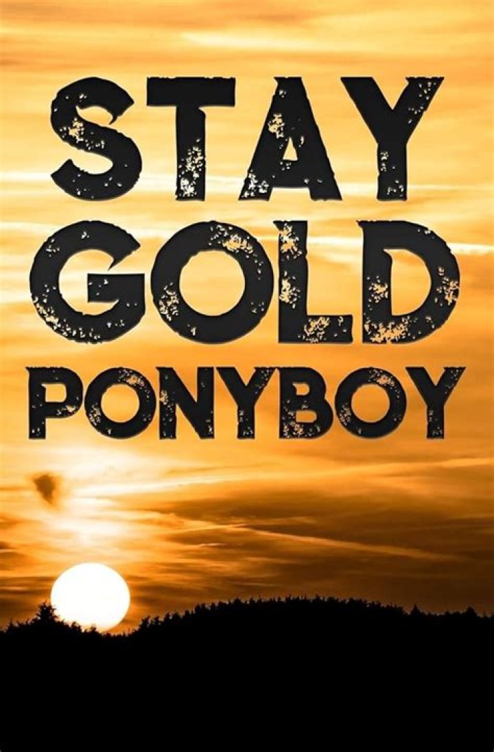 How does Ponyboy stay gold in the outsiders?