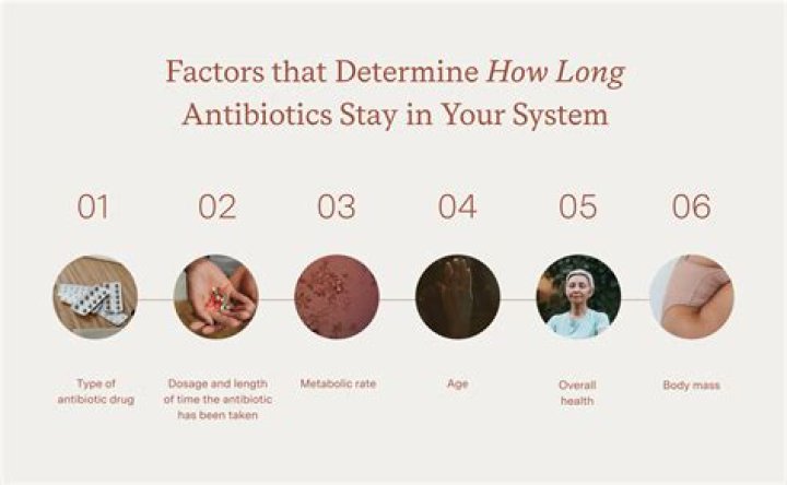How long do you take antibiotics for septic shock?