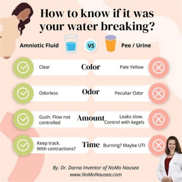How much comes out when your water breaks?