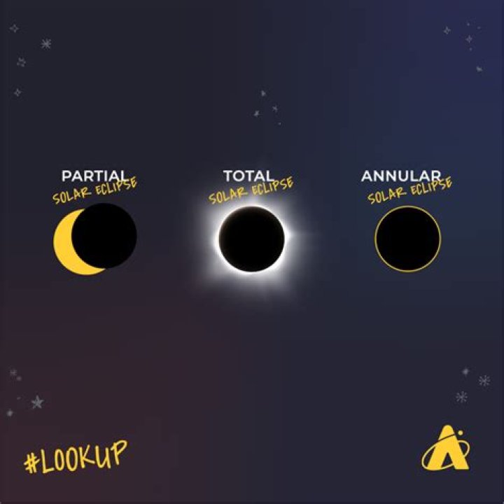 What are the three types of pocket?