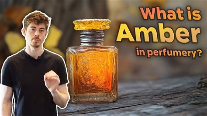 What is amber used for Botw?