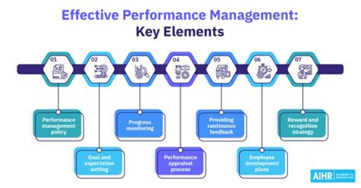 What is performance management process?