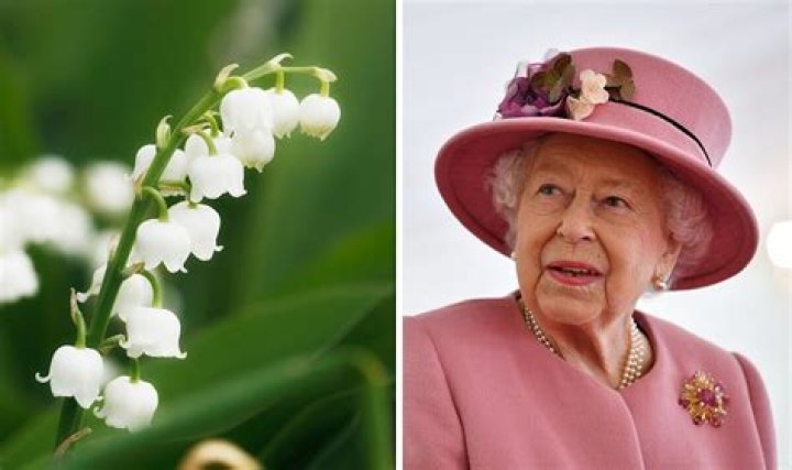What is Queen English?