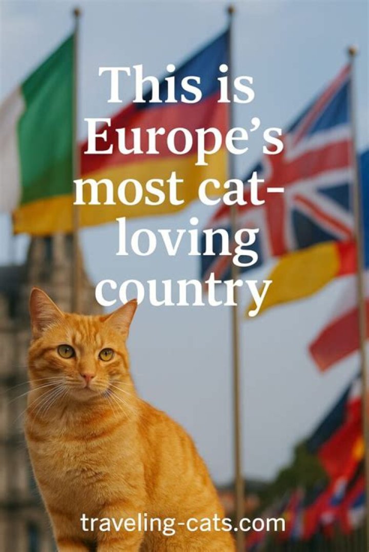 What is the most cat friendly country?