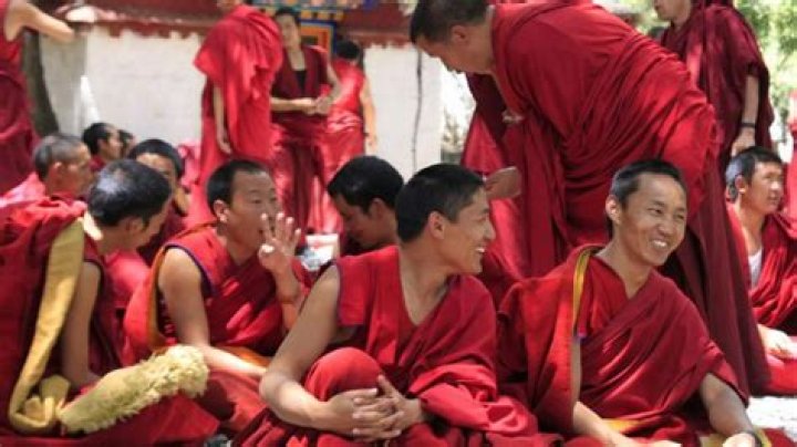 What type of tea do Tibetan monks drink?